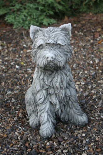 KA221 Medium Dog
